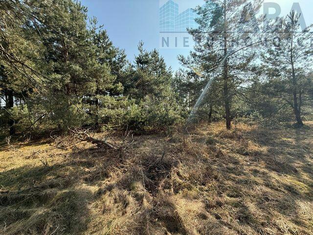 Działka - Niezgoda, gm. Słupca