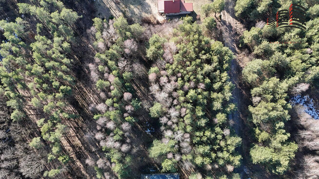 Działka budowlana Ostrów Lubelski, Świerkowa