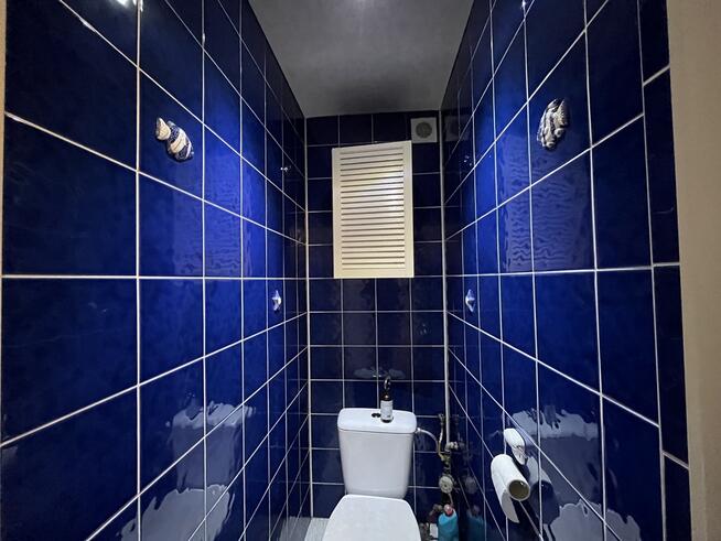 Dom 78 m2 na działce 1600 m2 w Kosowie gm. Kowala.