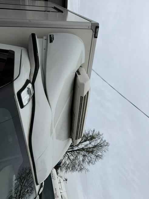 iveco daily 35c18 chłodnia 8 palet.