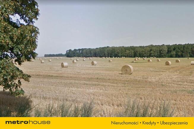 TEREN ROLNY, PRZEZNACZENIE BUDOWLANE, DOPIEWO,