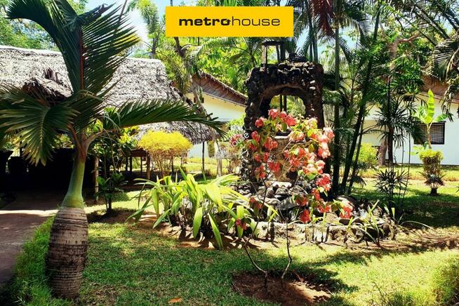 Lokal Busko-Zdrój, ul. 1 Maja