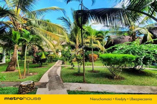 Lokal Busko-Zdrój, ul. 1 Maja