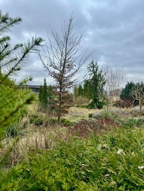 Dom Mielęcin gm. Pyrzyce