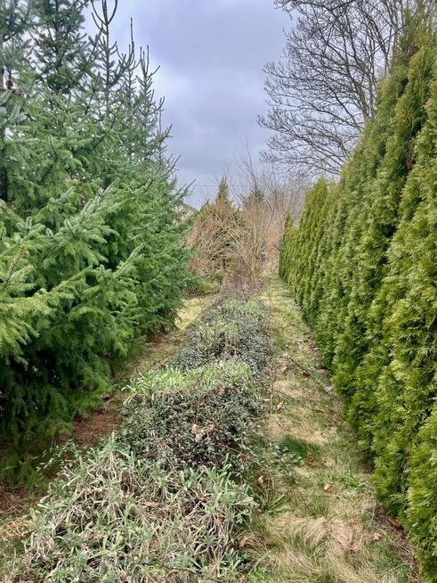 Dom Mielęcin gm. Pyrzyce