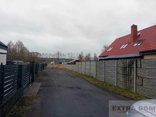 Działka żółwia błoć