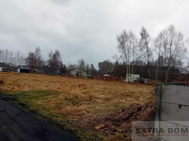 Działka żółwia błoć