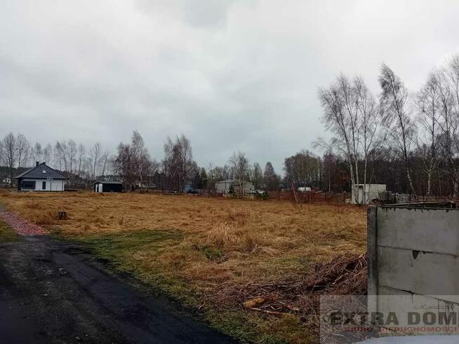 Działka żółwia błoć