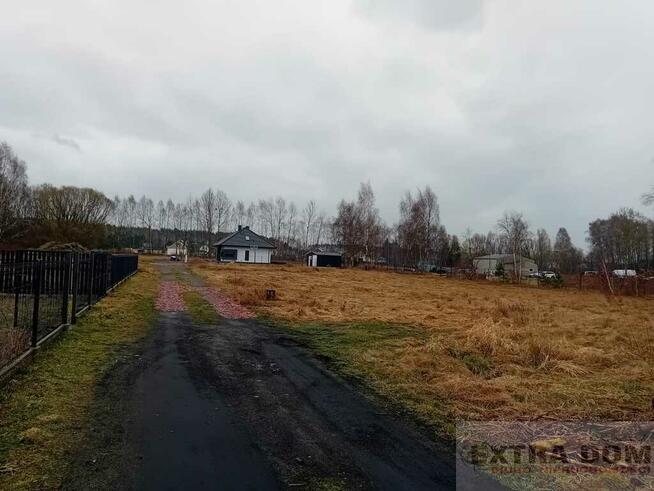 Działka żółwia błoć