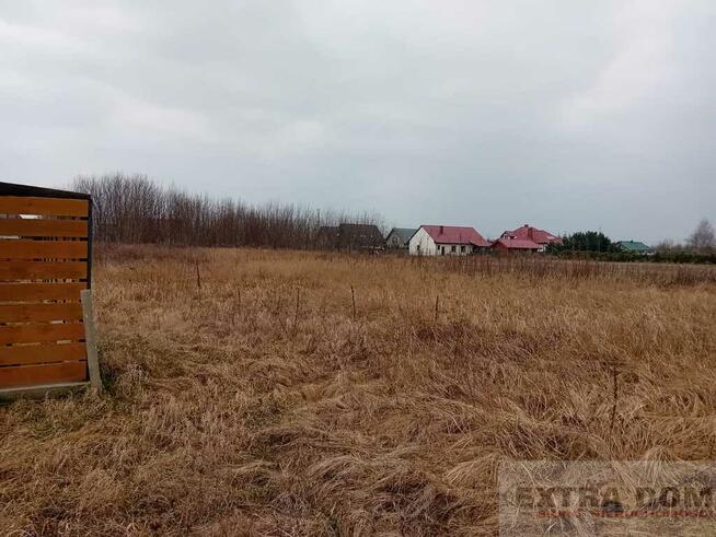 Działka Budno