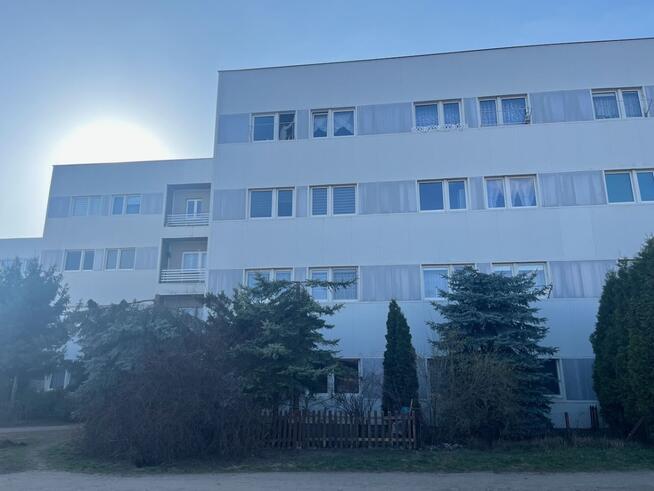 2/3 pokoje, kuchnia ze spiżarnią, ogródek, do rem.