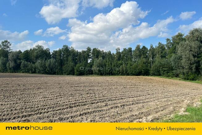 Działka Małe Leźno