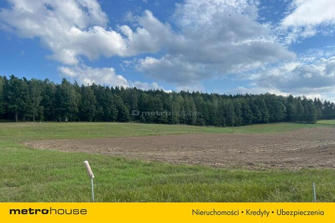 Działka Małe Leźno