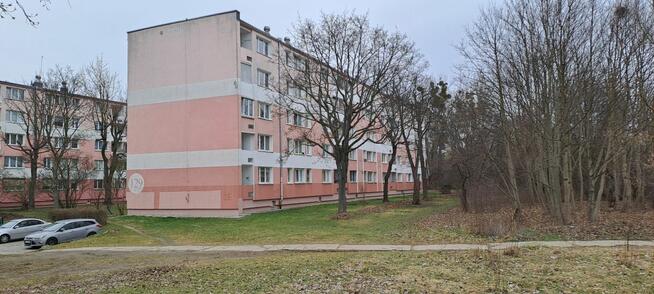 Mieszkanie Łódź gm. Łódź-Górna Dąbrowa,