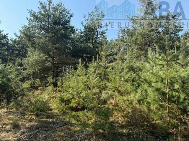 Działka - Niezgoda, gm. Słupca