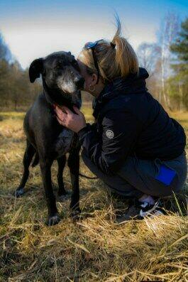 Delikatna przyjacielska sunia marzy o kochającym domu