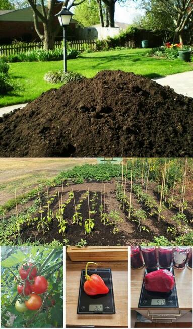 ZIEMIA OGRODOWA Studnia głębinowa