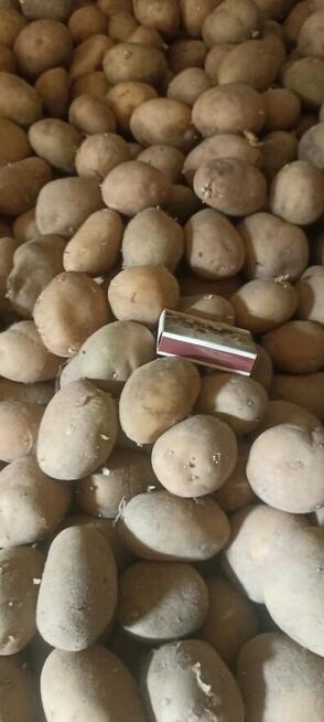 Sadzeniak Ignacy drugi rok po centrali