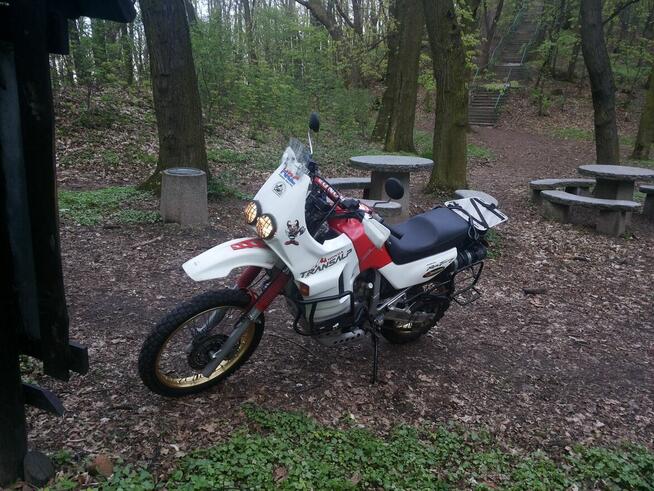 Transalp PD03 EVO II 650 1991/2023 Jak Tenere Freewind