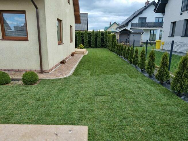 Zakładanie ogrodów, trawniki z rolki i siew - Trójmiasto