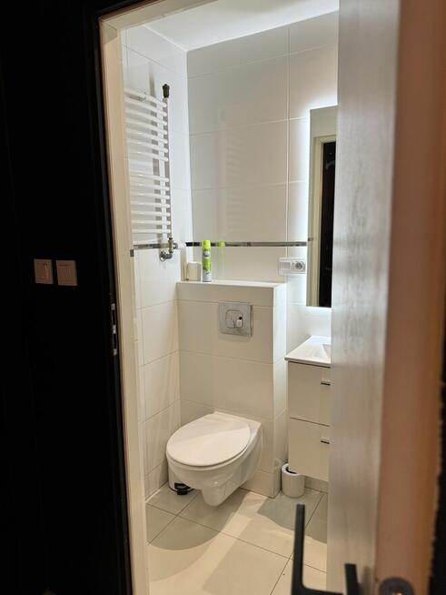 Wynajmę mieszkanie bezpośrednio Krakow przy Wiśle ,Wawel