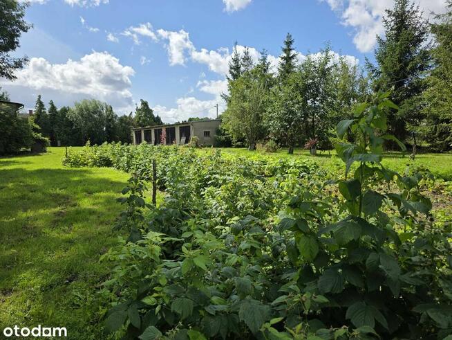 Działka 2979 m2 | Budynki | Dom |w Grędzicach