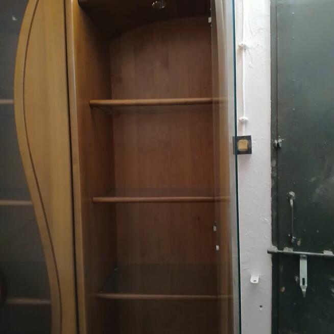 Witryna Sara tzw. tulipan