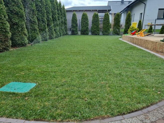 Zakładanie ogrodów, trawniki z rolki i siew - Trójmiasto