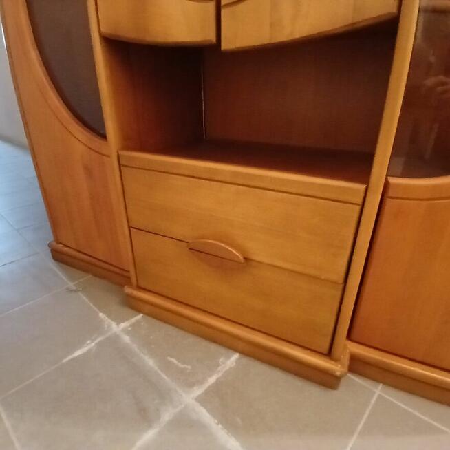 Witryna Sara tzw. tulipan