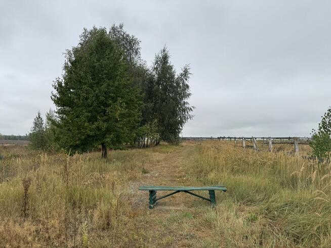 Syndyk sprzeda nieruchomość w miejscowości Bronisławy