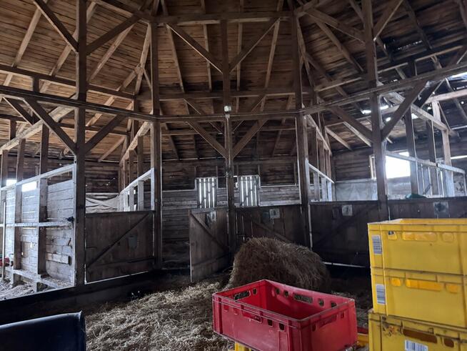 Syndyk sprzeda nieruchomość w miejscowości Bronisławy