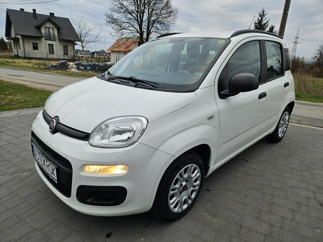 Fiat Panda Bezwypadkowy,Polski salon