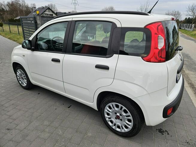 Fiat Panda Bezwypadkowy,Polski salon