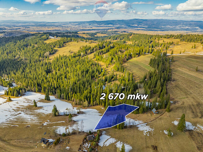 DZIAŁKA Z WIDOKIEM NA TATRY 2670 m²