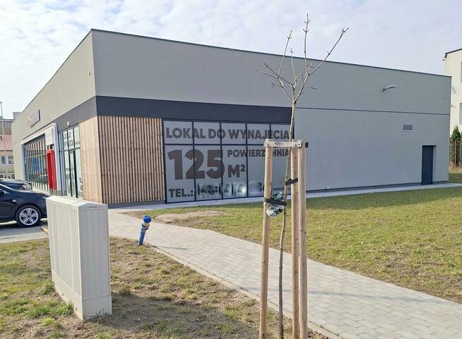 Lokal użytkowy Ryn, Zielona