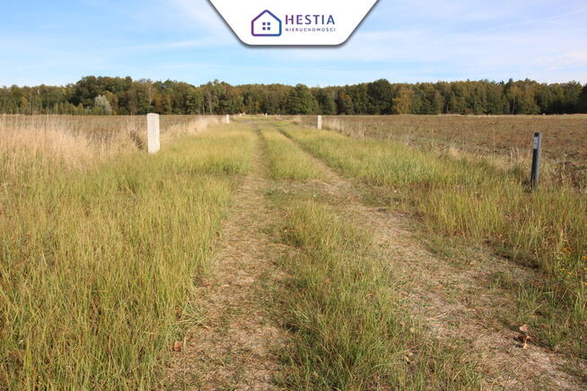 Działka w Grzepnicy 1500 m2 - 17km od Szczecina