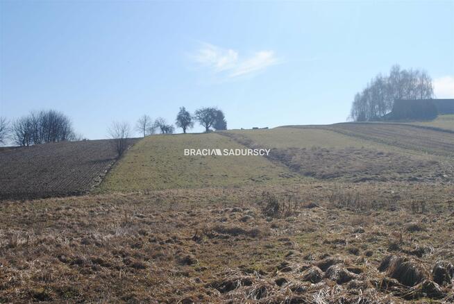 Działka rolna Bodzanów gm. Biskupice