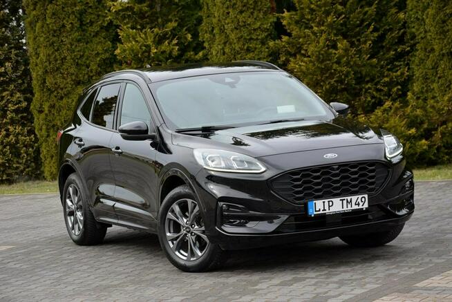 Ford Kuga FV23% ST-line X Full Led Bang&Oluf Skóry RadarACC Navi Kamera Head Up