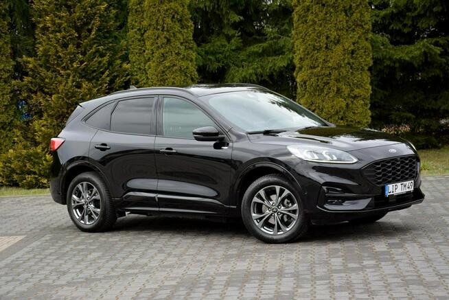 Ford Kuga FV23% ST-line X Full Led Bang&Oluf Skóry RadarACC Navi Kamera Head Up