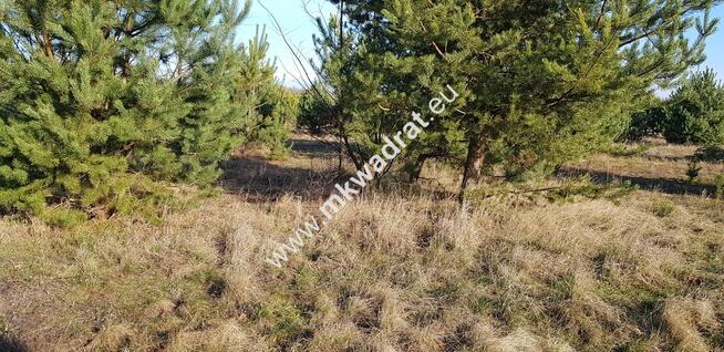 Działka z MPZP Bieganów