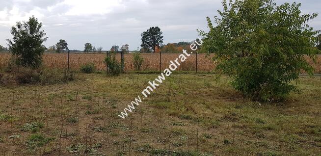 ⭐⭐⭐⭐⭐ Ustawna 1500m2 w cichej okolicy 45mx33m⭐⭐⭐⭐⭐