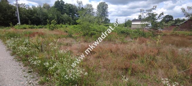 ⭐⭐⭐⭐⭐ Super oferta Media Droga gminna WZ ⭐⭐⭐⭐⭐