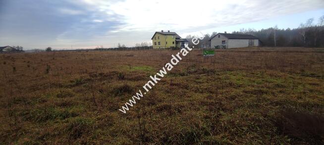 ⭐⭐⭐⭐⭐ Działka 1900m Tłumy gmina Kowiesy ⭐⭐⭐⭐⭐