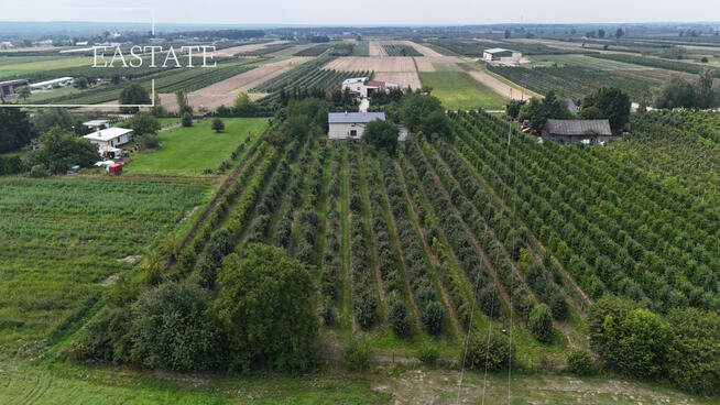 Działka rolna Świdno gm. Mogielnica,