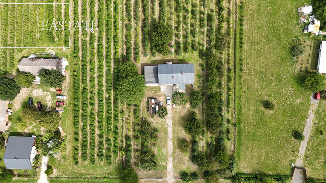 Działka rolna Świdno gm. Mogielnica,