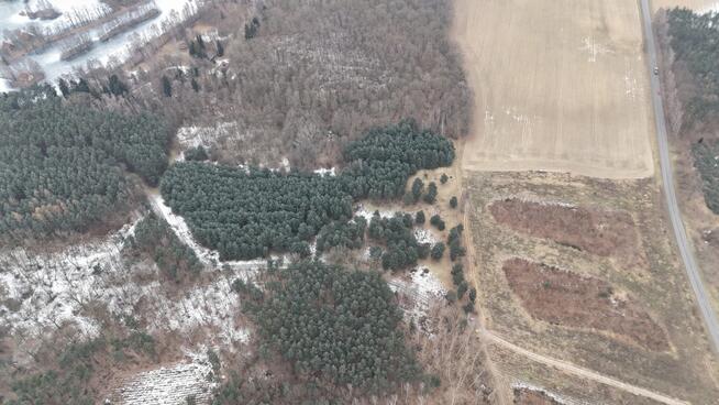 Działki w lesie 40 min od Wrocławia – od 39 900 zł!