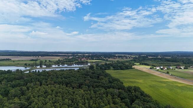 Działki w lesie 40 min od Wrocławia – od 39 900 zł!