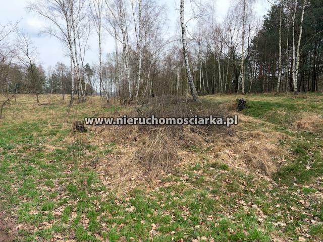 Działka rolno-budowlana Wodzisław Śląski