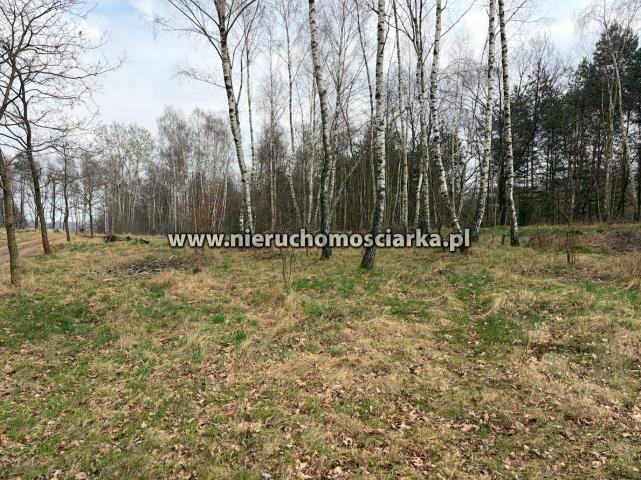 Działka rolno-budowlana Wodzisław Śląski