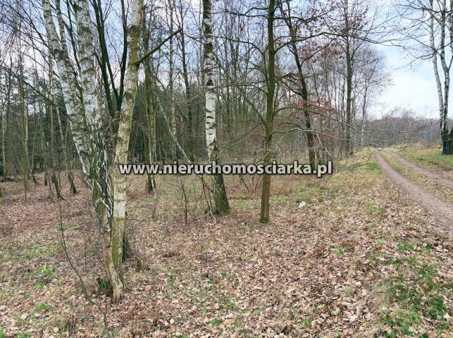 Działka rolno-budowlana Wodzisław Śląski